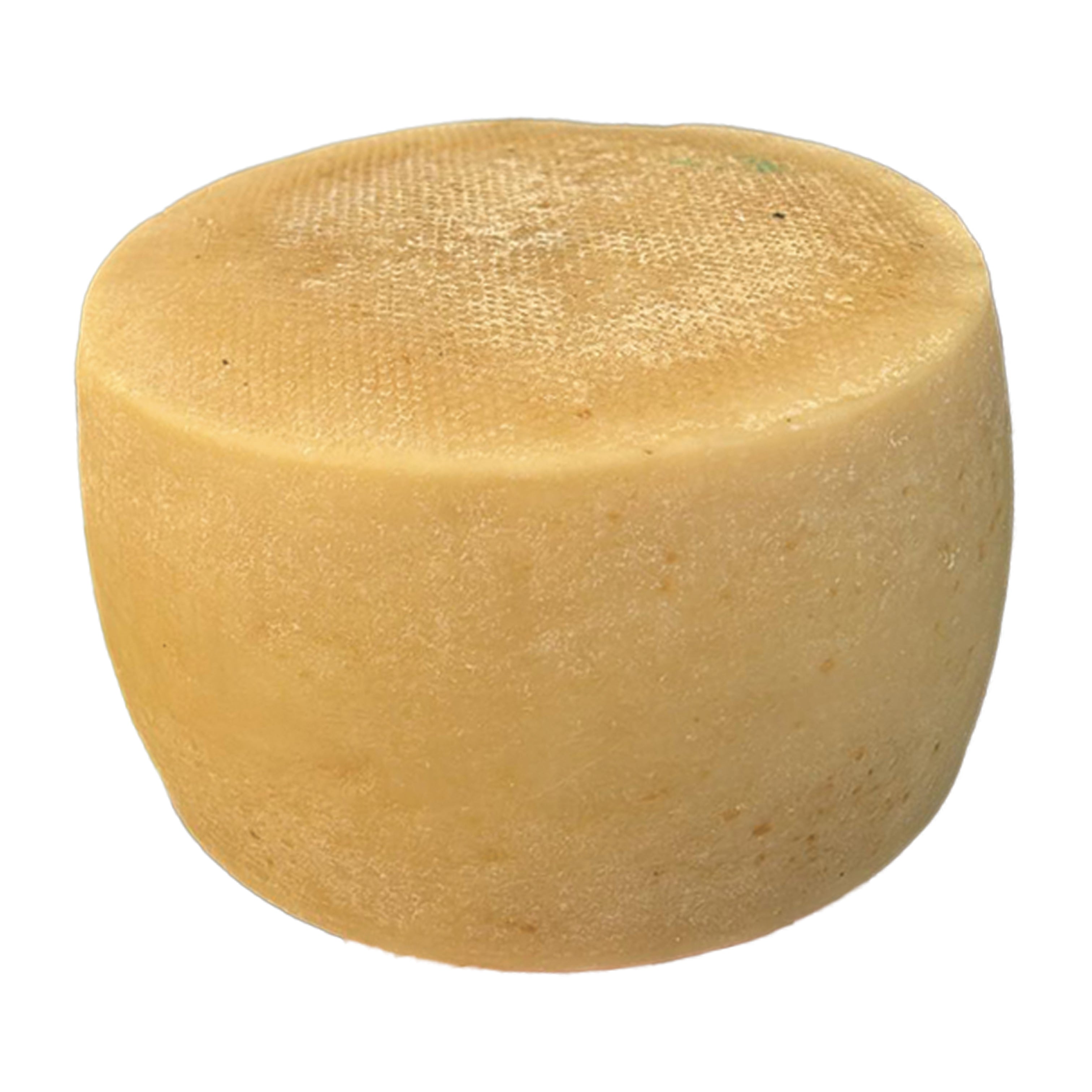 Formaggio di Capra stagionato